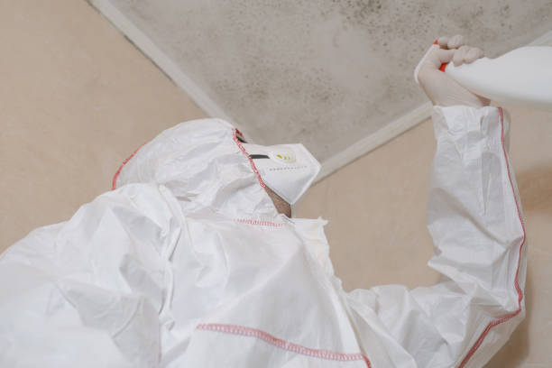 Best Commercial Mold Removal  in Eatonville, FL